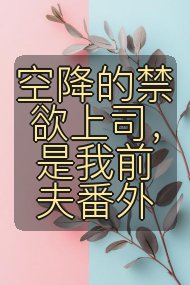 空降的禁欲上司,是我前夫番外封面