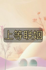 上等联姻封面