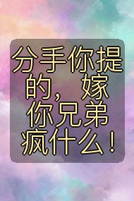 分手你提的，嫁你兄弟疯什么！封面