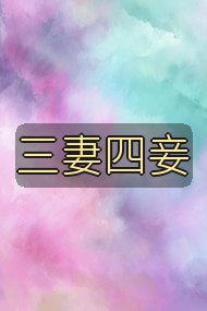 三妻四妾封面