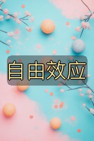 自由效应封面