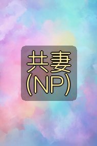 共妻（NP)封面