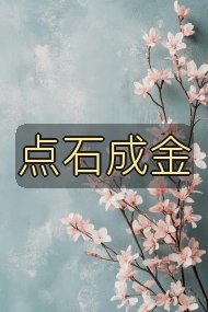 点石成金封面