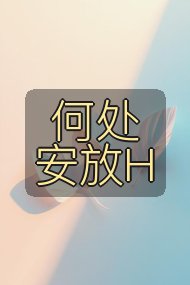 何处安放H封面