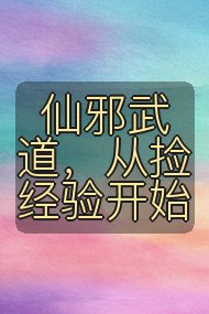 仙邪武道，从捡经验开始封面