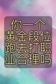 你一个黄金段位跑去打职业合理吗封面