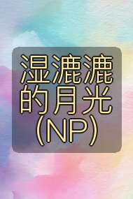 湿漉漉的月光(NP)封面