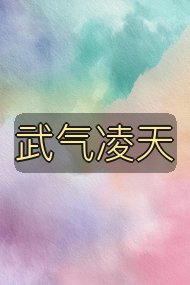 武气凌天封面