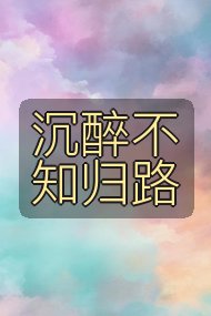 沉醉不知归路封面