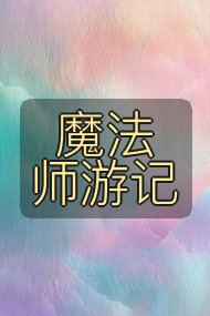 魔法师游记封面
