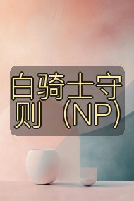 白骑士守则(NP)封面