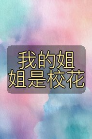 我的姐姐是校花封面